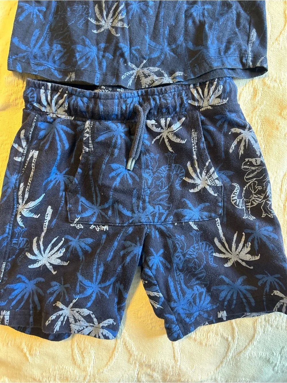 Boys Navy Palm Print Tank & Shorts Set Dinos and Palm Streets Size 5T